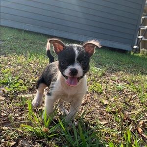 Meet your Posher, Brianna